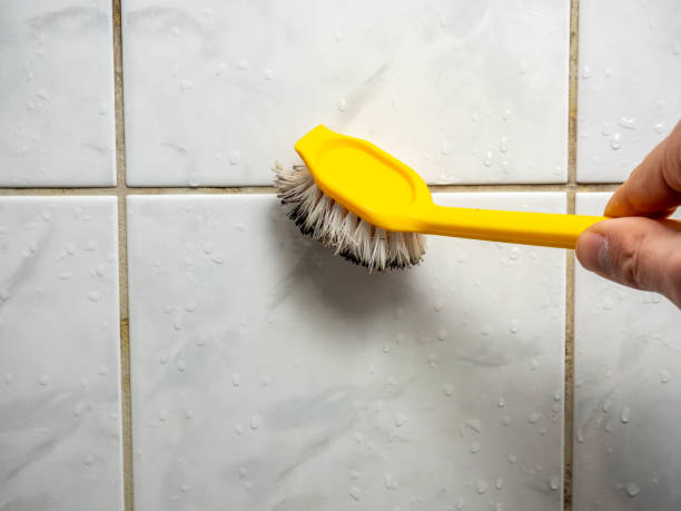 Best Toxic Mold Removal  in Clifton, TX